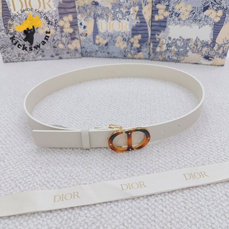 Dior Montaigne Belt