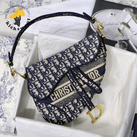 Dior Saddle M9001