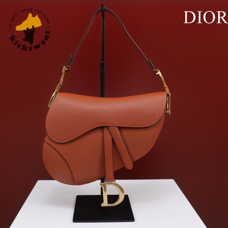 Dior Saddle M0446